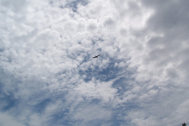 100_5992.JPG