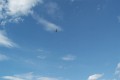 100_6019
