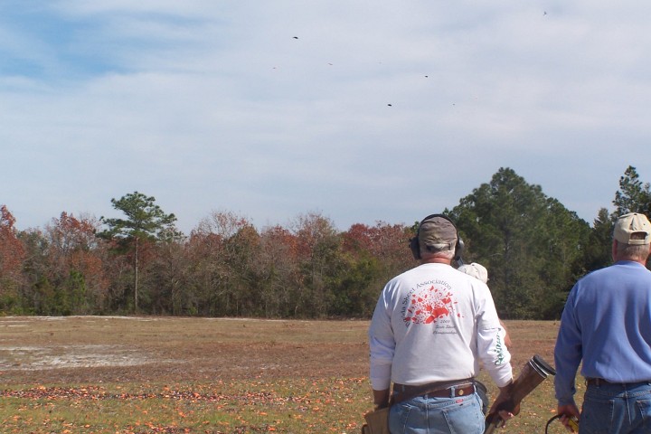 palskeet002.JPG