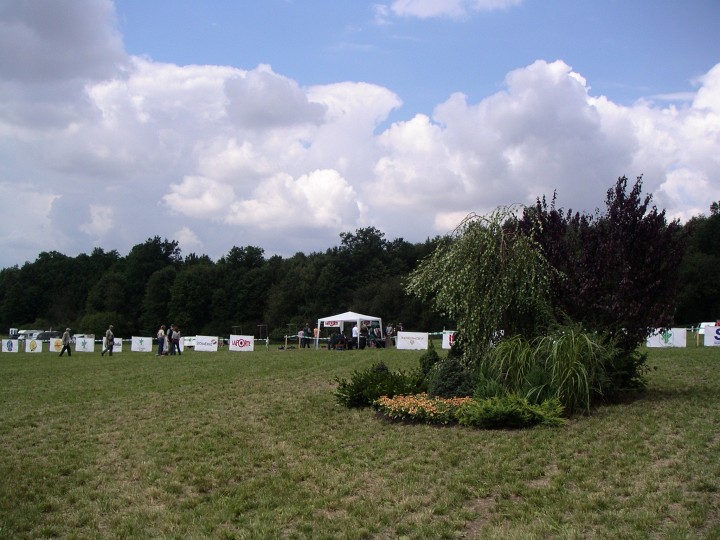 PICT0440.JPG