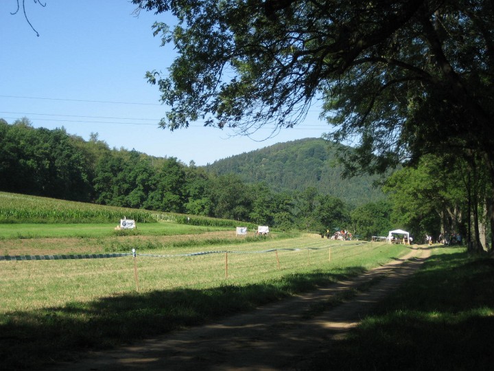 107.JPG