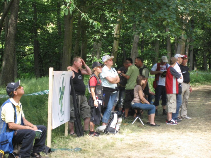 136.JPG