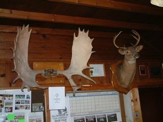 DSCF0045_3.jpg