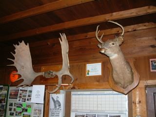 DSCF0046_3.jpg