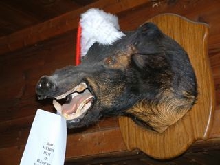DSCF0056_3.jpg