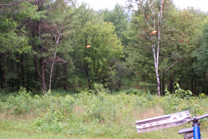 sunsetfarms024.JPG
