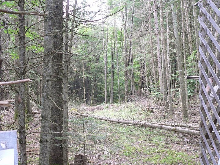P1040721 copy.jpg