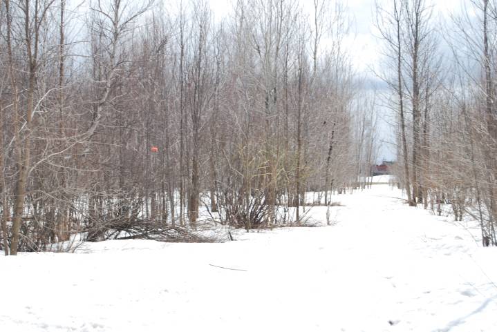Picture 115.jpg