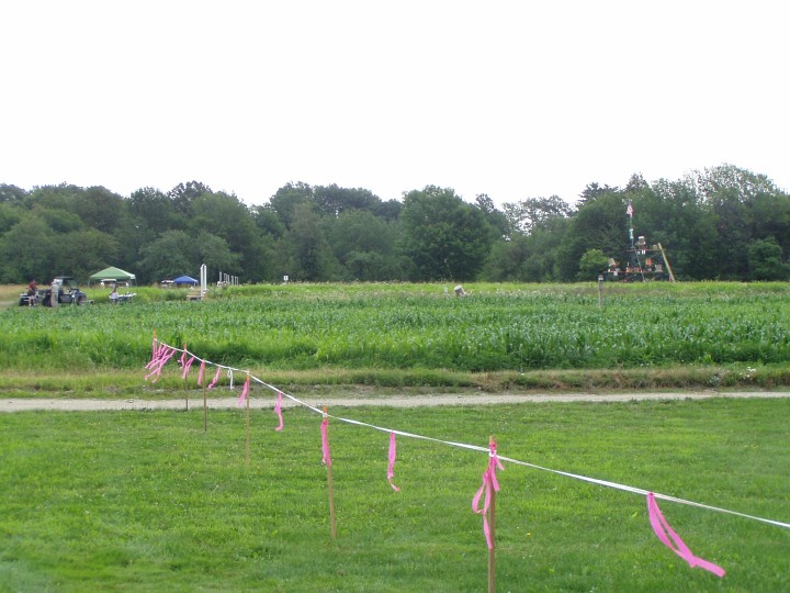 NYSC08 018.jpg