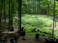 NYSC08 008