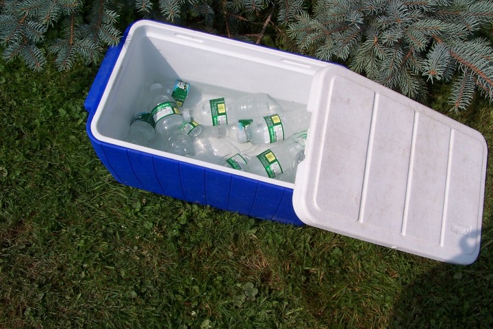 100_8728.JPG
