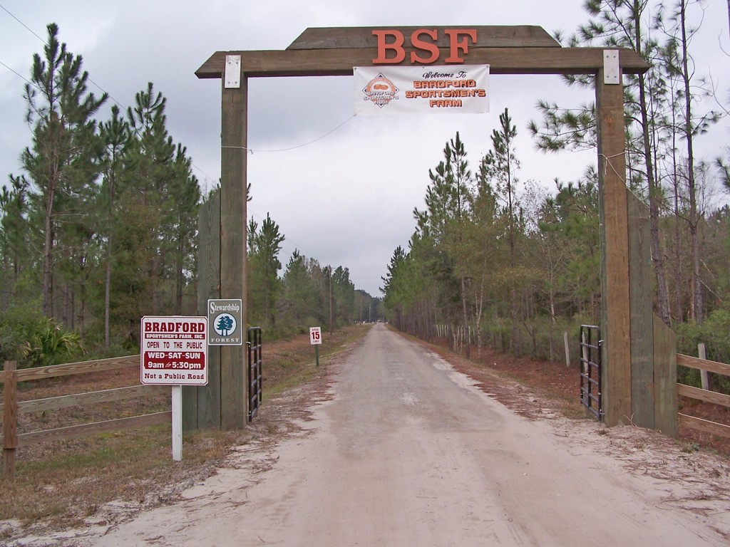 100_9594.JPG
