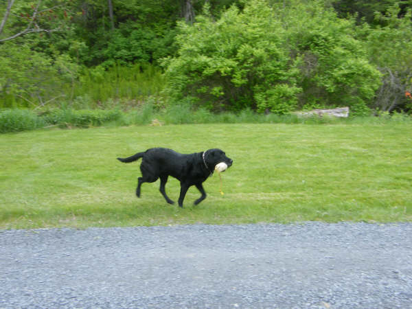 2009_05230126.JPG