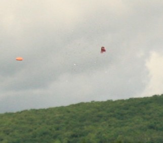 IMG_2313.JPG