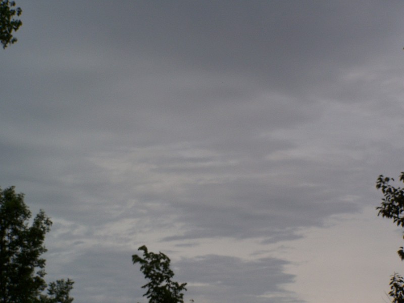 100_0817.JPG