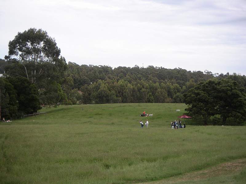 PICT0004.JPG