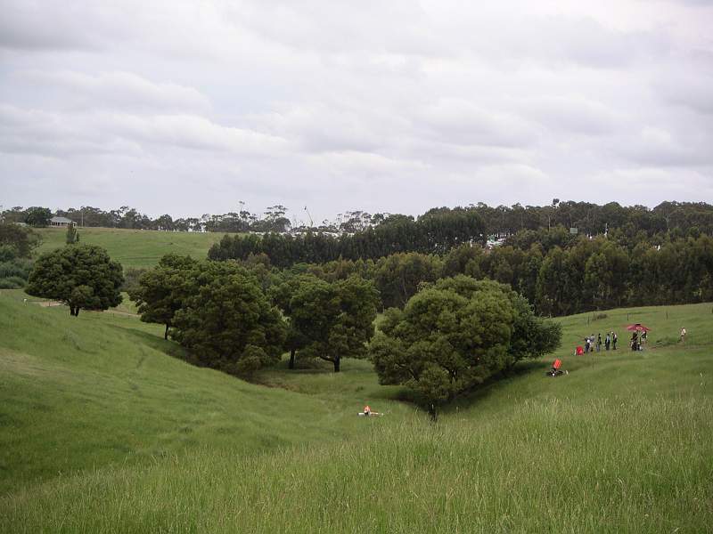 PICT0008.JPG