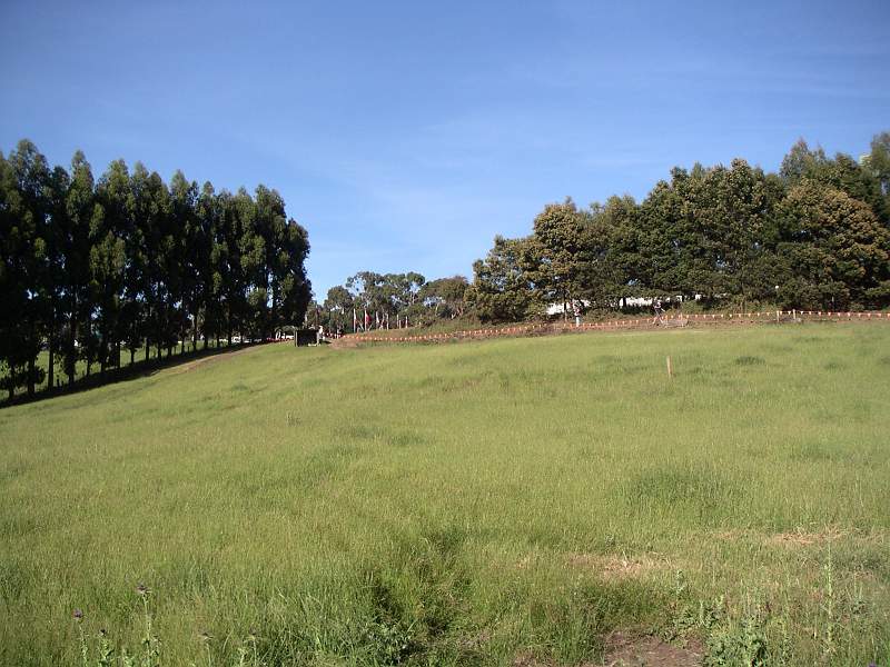 PICT0002.JPG