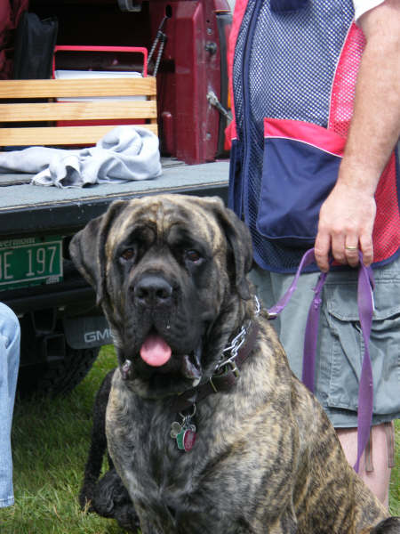 DSCF7895.JPG