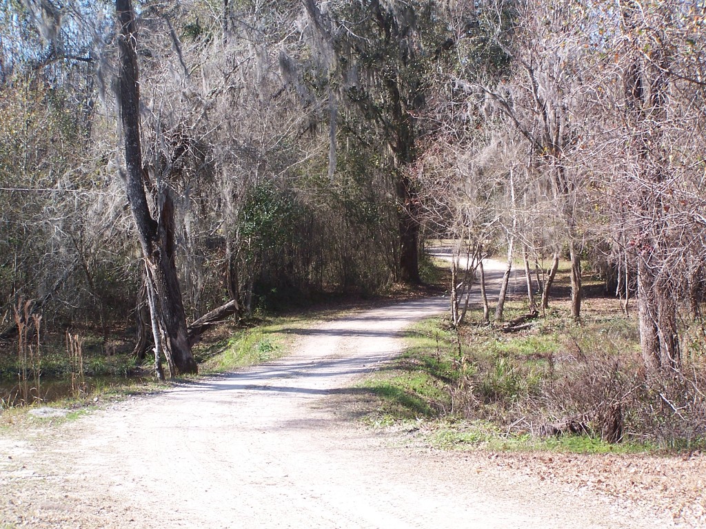 100_9904.JPG