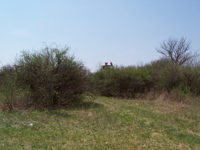 100_0585.JPG