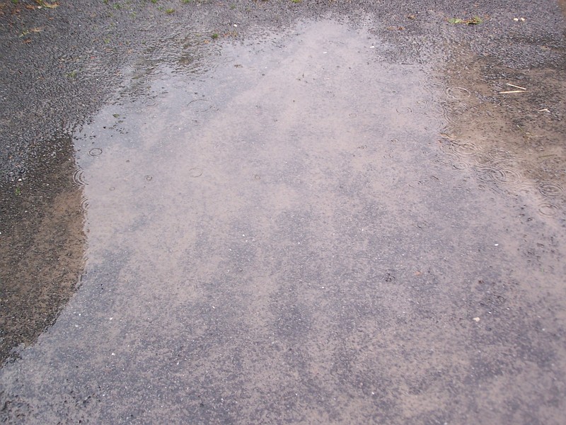 100_2675.JPG