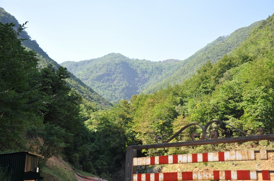 DSC_08512.jpg