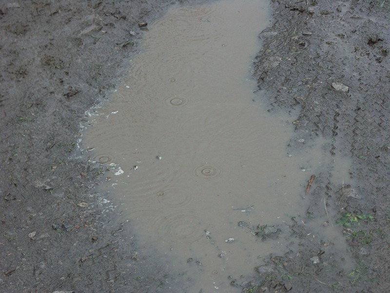 PICT0361.JPG