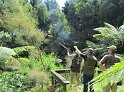 IMG_0227