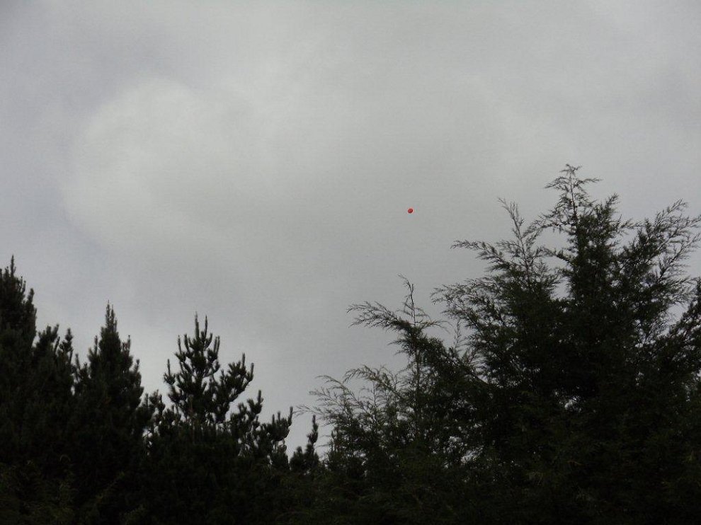 DSC00265.jpg - The one that got away !!