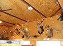 DSC00207