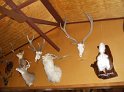 DSC00208