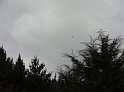 DSC00265