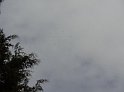 DSC00272
