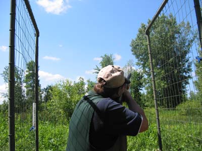 Sporting Clays