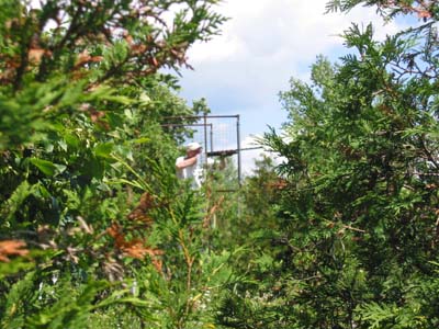 Sporting Clays