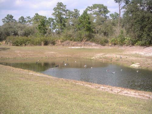 Sporting Clays